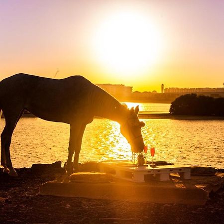 Hotel Pura Eco Retreat, Jubail Island Abu Zabi Zewnętrze zdjęcie