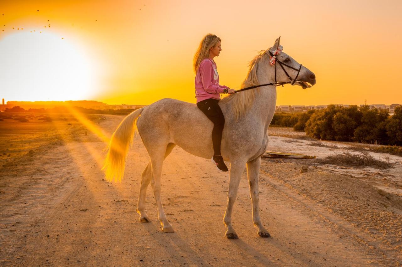 Hotel Pura Eco Retreat, Jubail Island Abu Zabi Zewnętrze zdjęcie